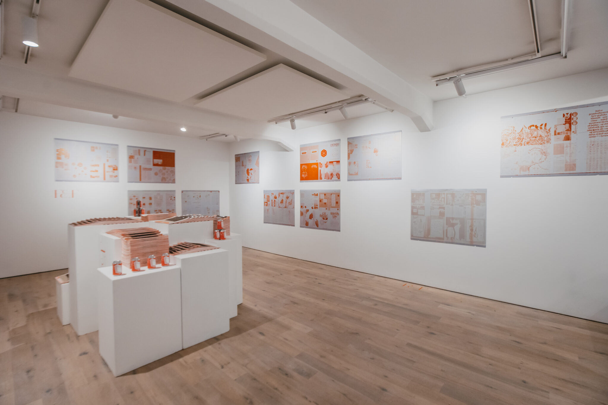 Opnun Farvegir og Form sýningar í Grafískri hönnun. 16. Janúar 2026 Herma gallerí, Hverfisgötu