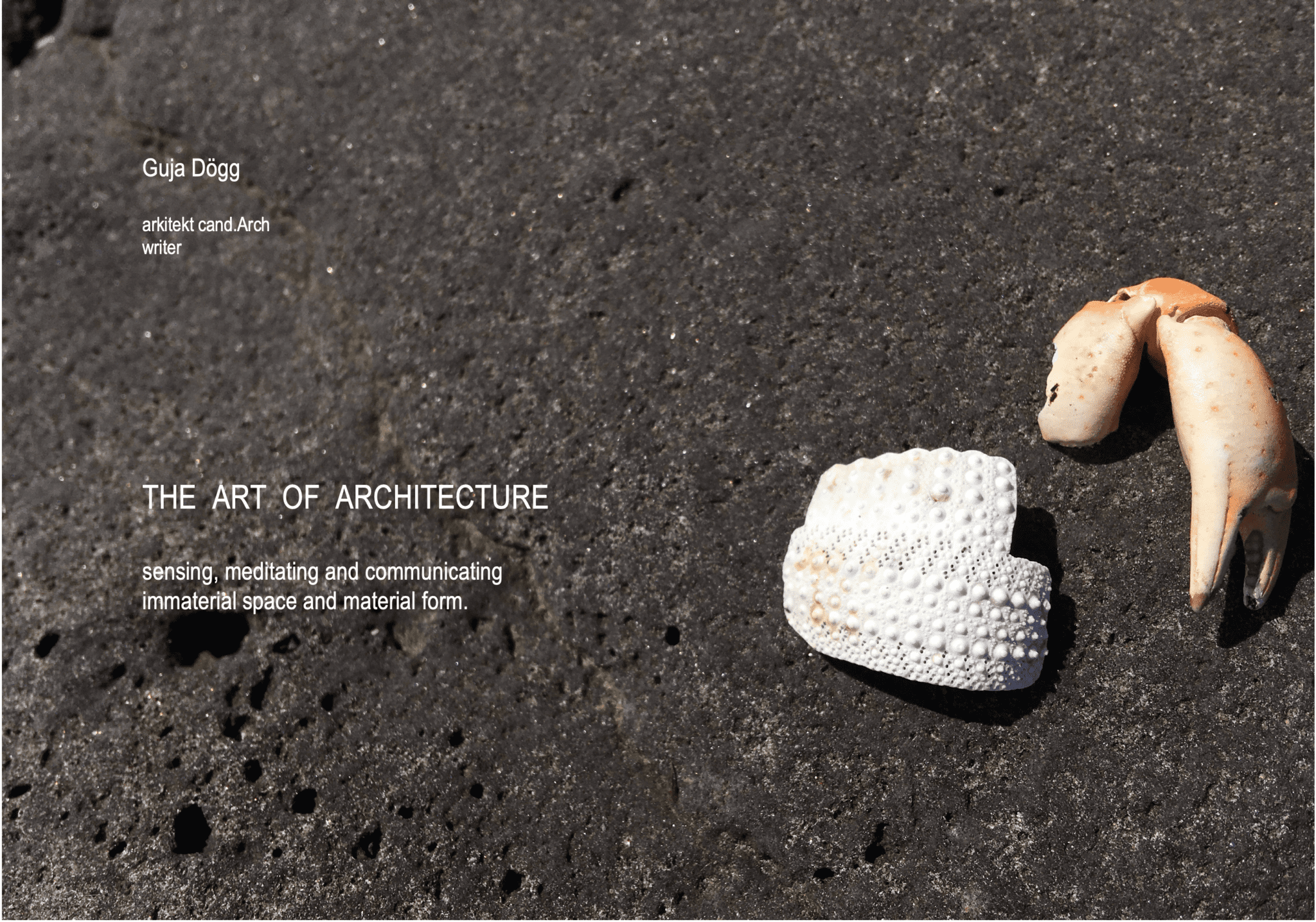 The Art of Architecture – sensing, meditating and communicating immaterial space and material form.