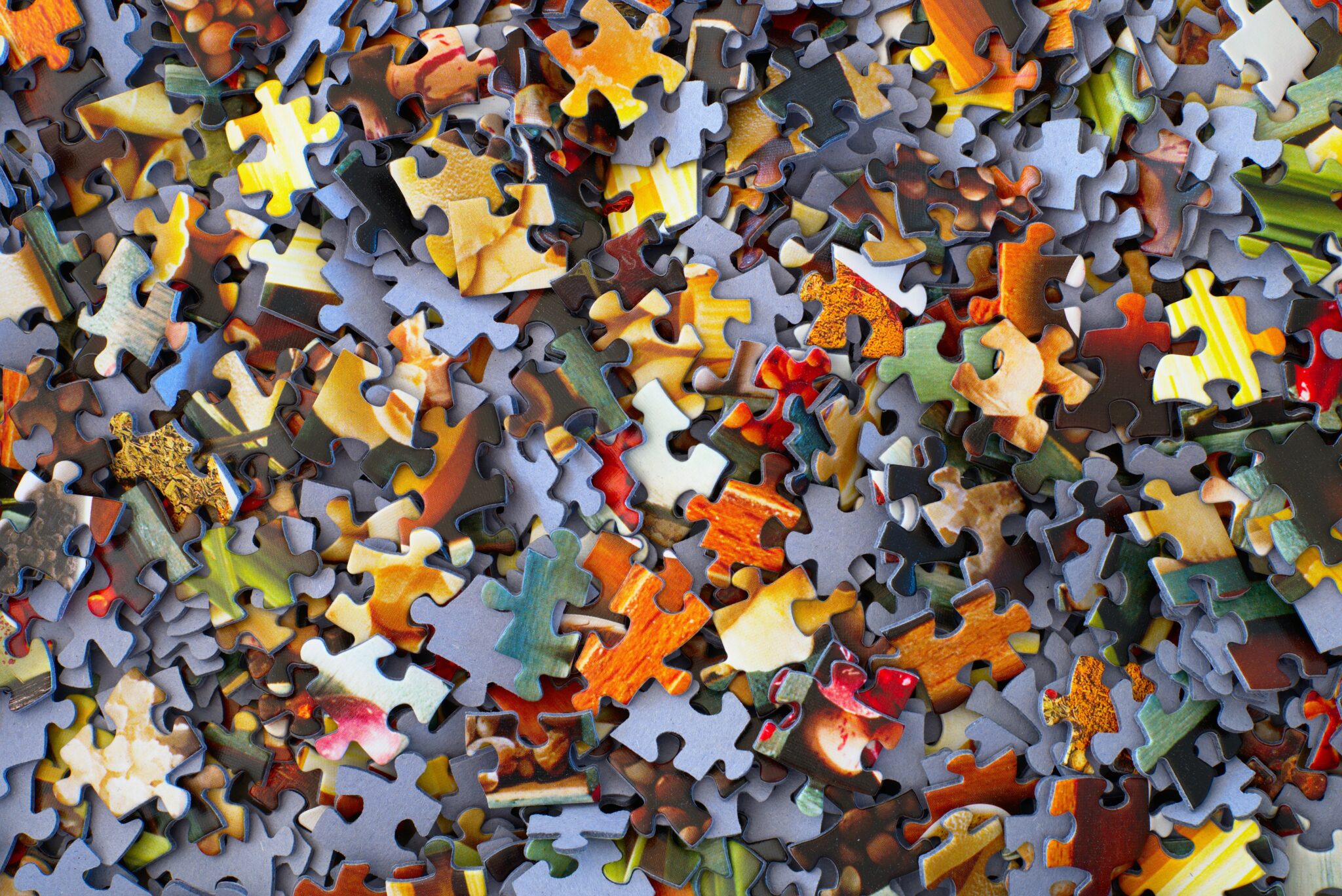 Grants from the Student Innovation Fund in 2025