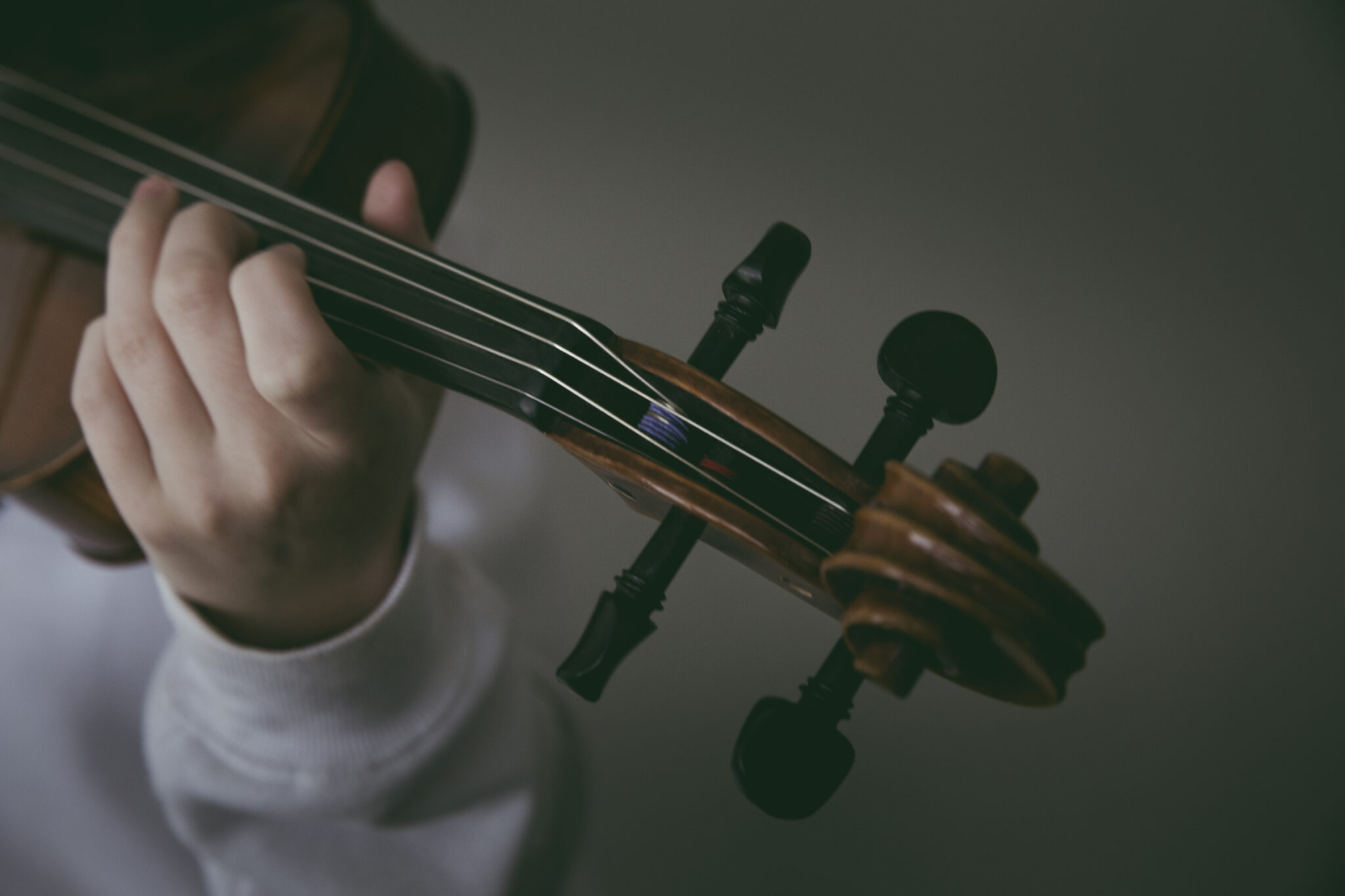 B.Mus Classical Artist Program