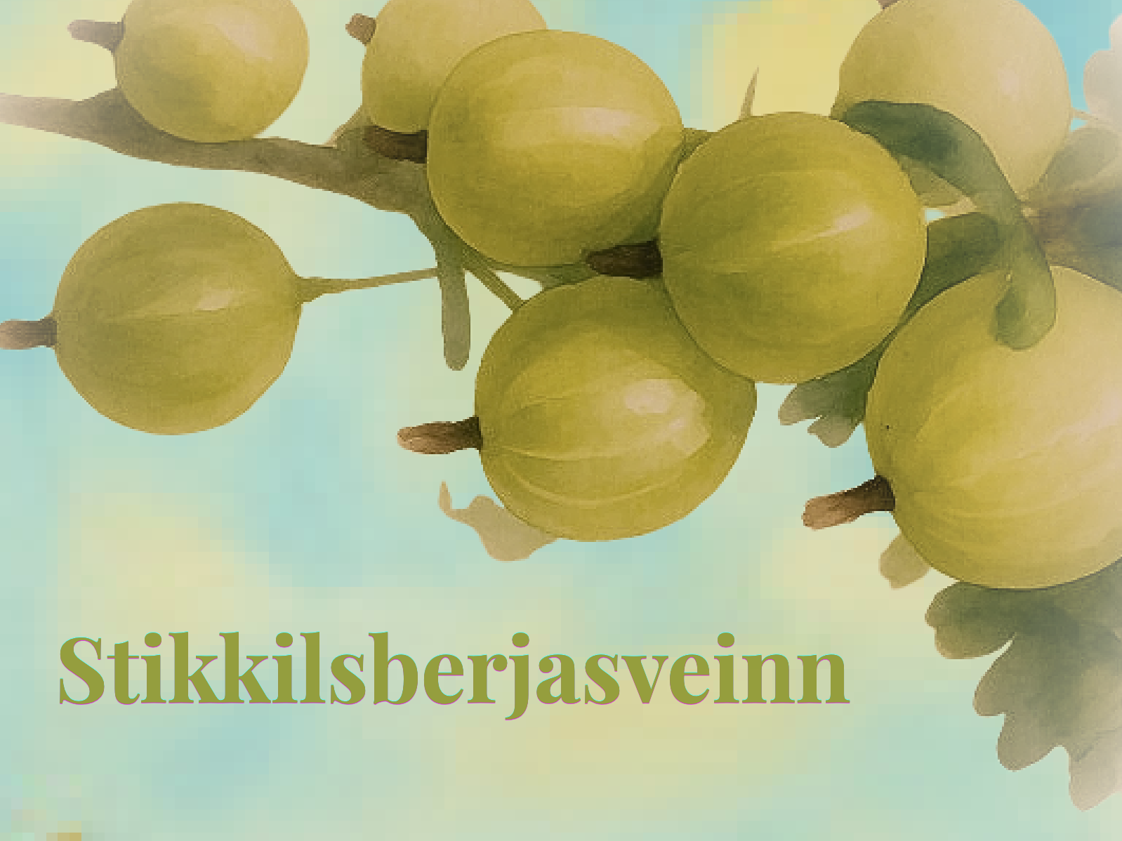 Stikkilsberjasveinn